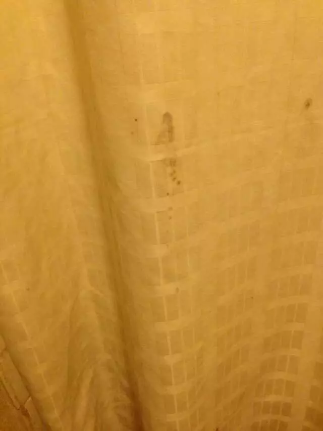 Austin Motor Inn