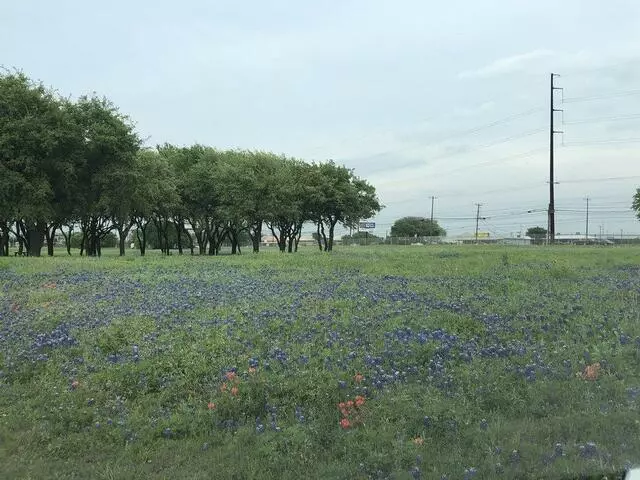 University of Texas - J.J. Pickle Research Campus
