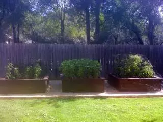 Appealing Curb Designs