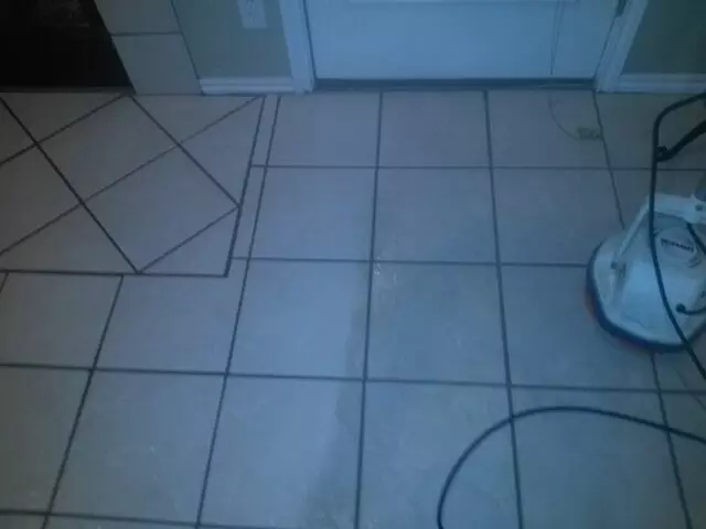 Skunky's Carpet & Home Care