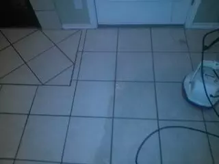 Skunky's Carpet & Home Care