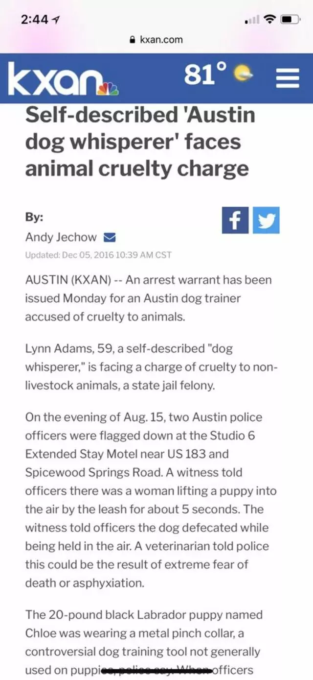 Austin Dog Whisperer