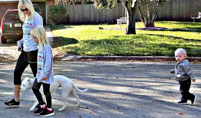 Austin Dog Whisperer