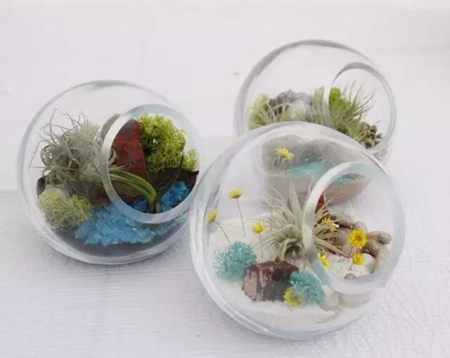 Articulture Designs