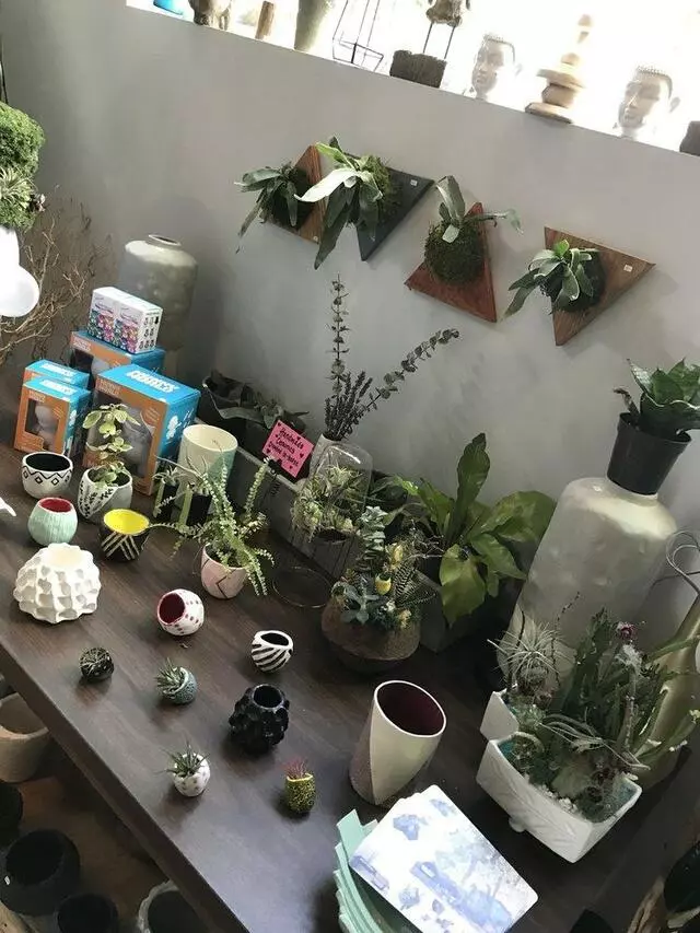 Articulture Designs