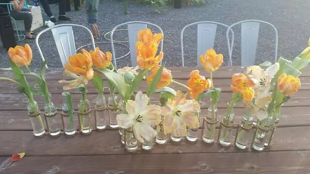 Articulture Designs