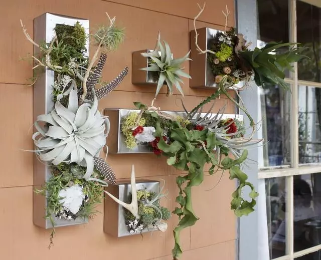 Articulture Designs