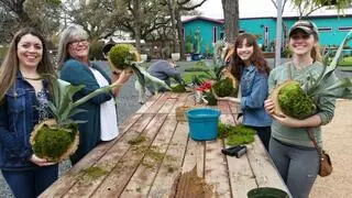 Articulture Designs