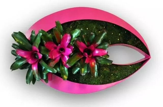 Articulture Designs
