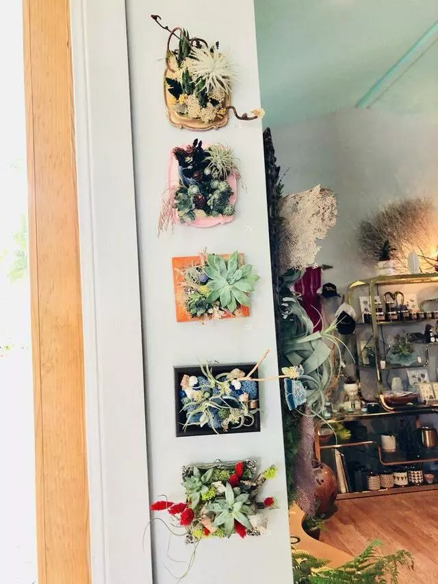 Articulture Designs