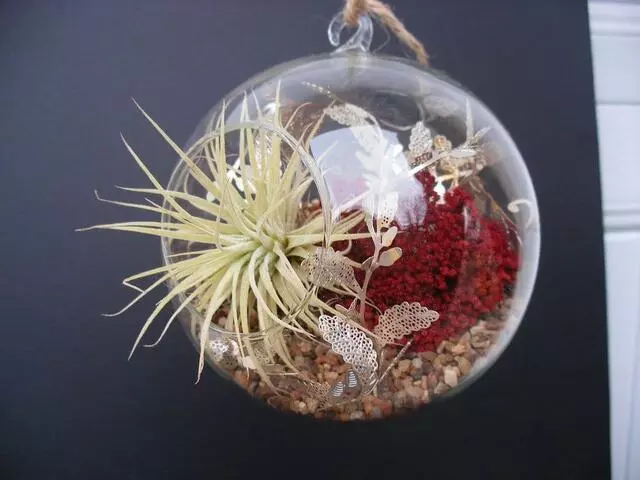 Articulture Designs