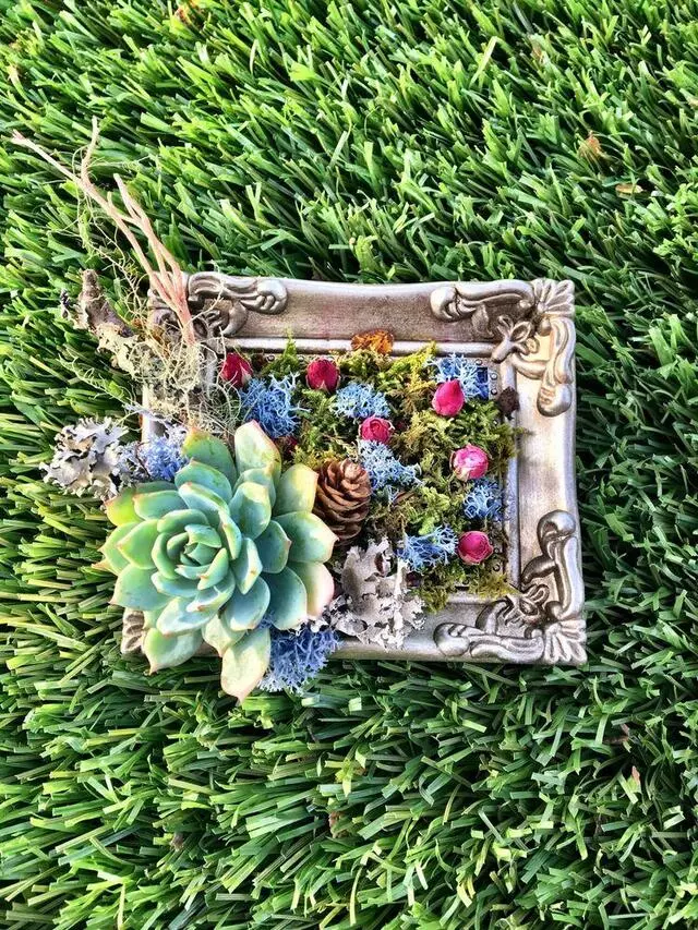 Articulture Designs