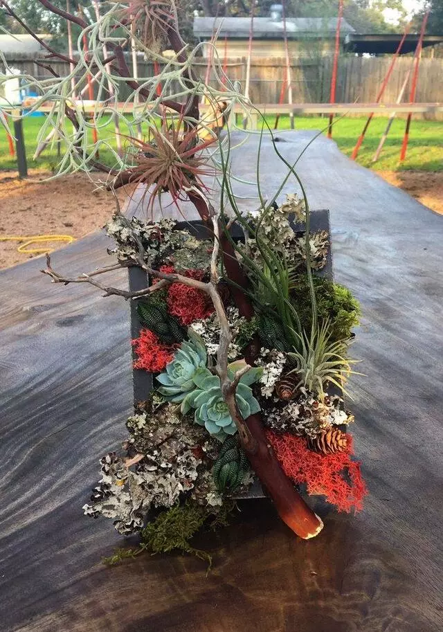 Articulture Designs