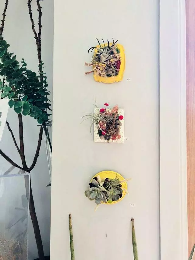 Articulture Designs