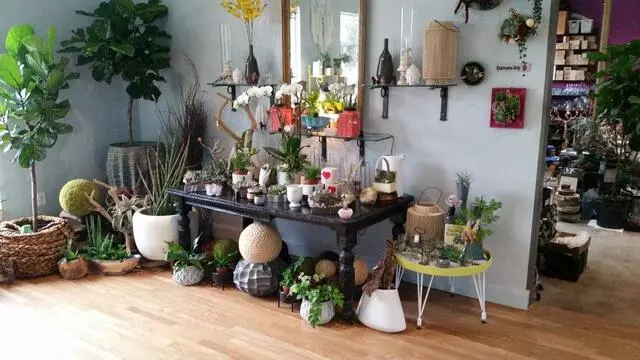 Articulture Designs