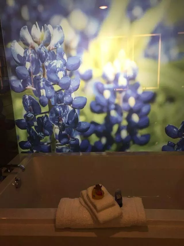 Archer Hotel Austin