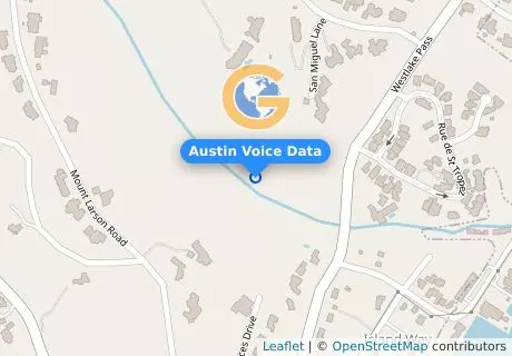 Austin Voice Data