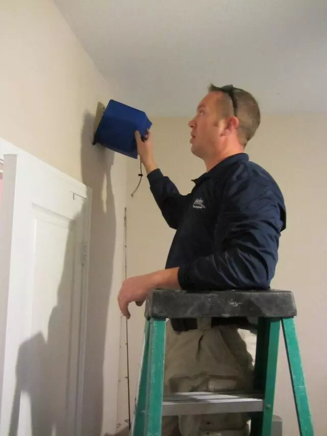 Absolute Pest Management
