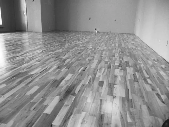 Austin Dance Collective