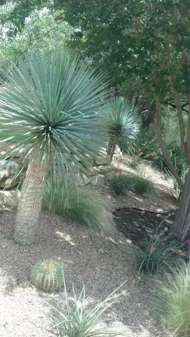 A Touch O’ Green Landscapes LLC.