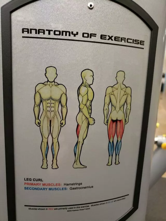 Gold&apos;s Gym
