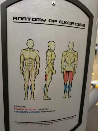 Gold's Gym