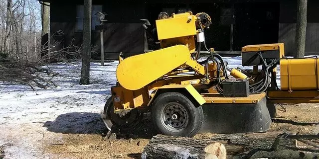 AM Tree Service