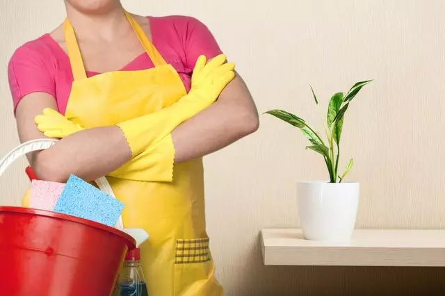 A-1 Squeaky Clean Maid Service