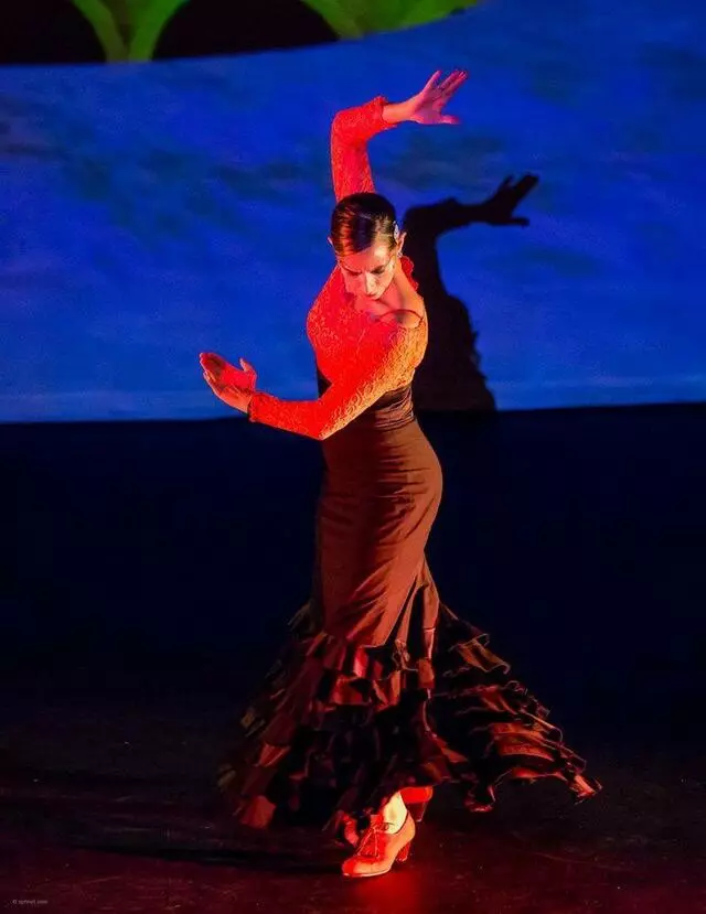 Austin Flamenco Academy