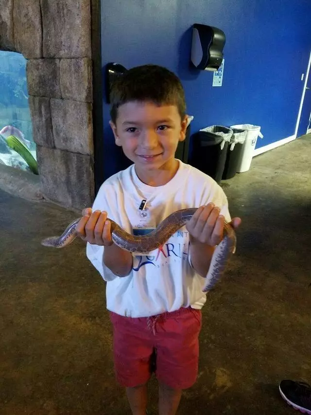 Austin Aquarium