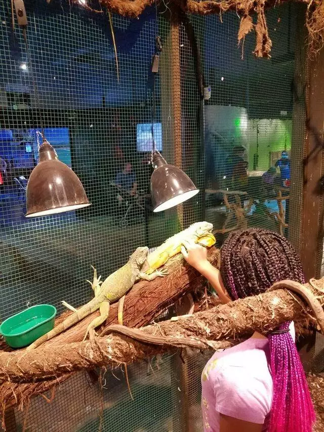 Austin Aquarium