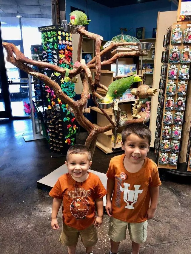 Austin Aquarium