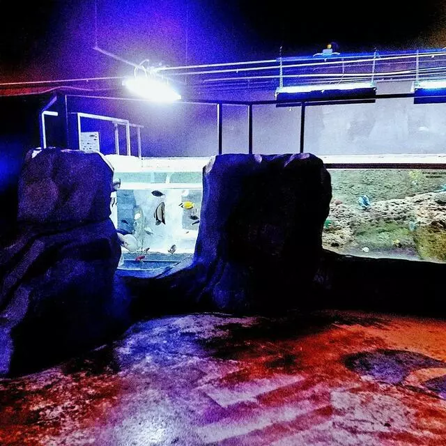 Austin Aquarium