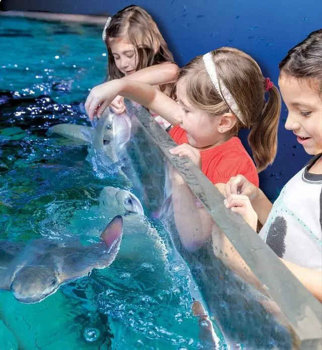 Austin Aquarium
