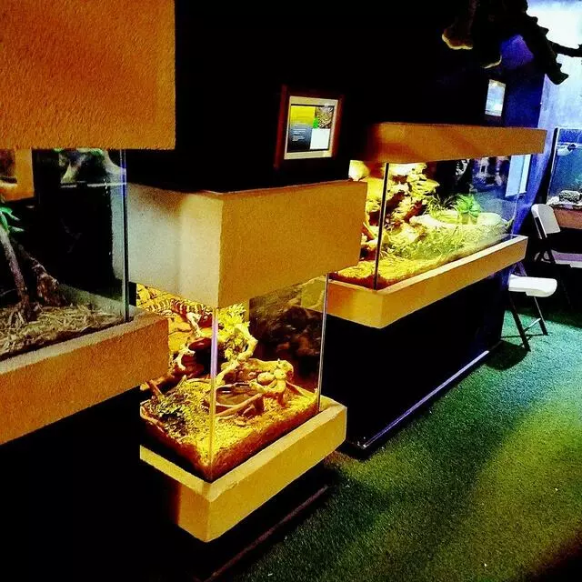 Austin Aquarium
