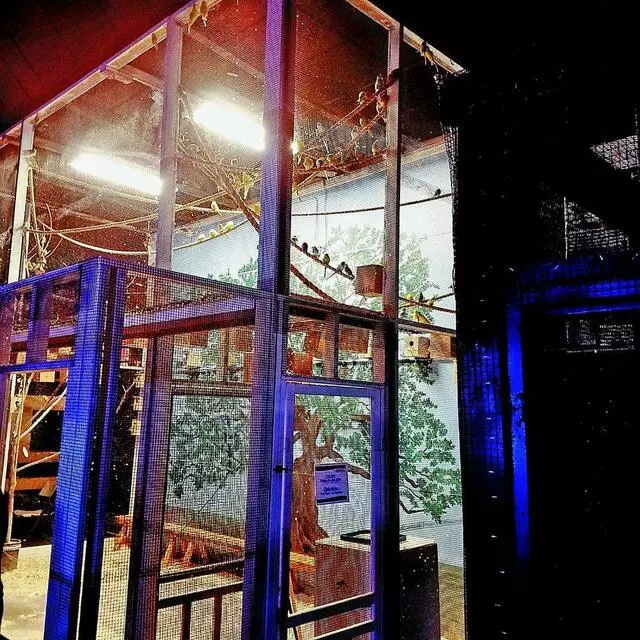 Austin Aquarium