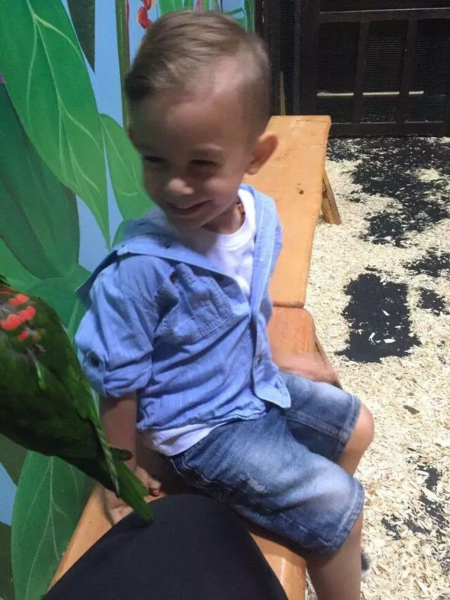 Austin Aquarium