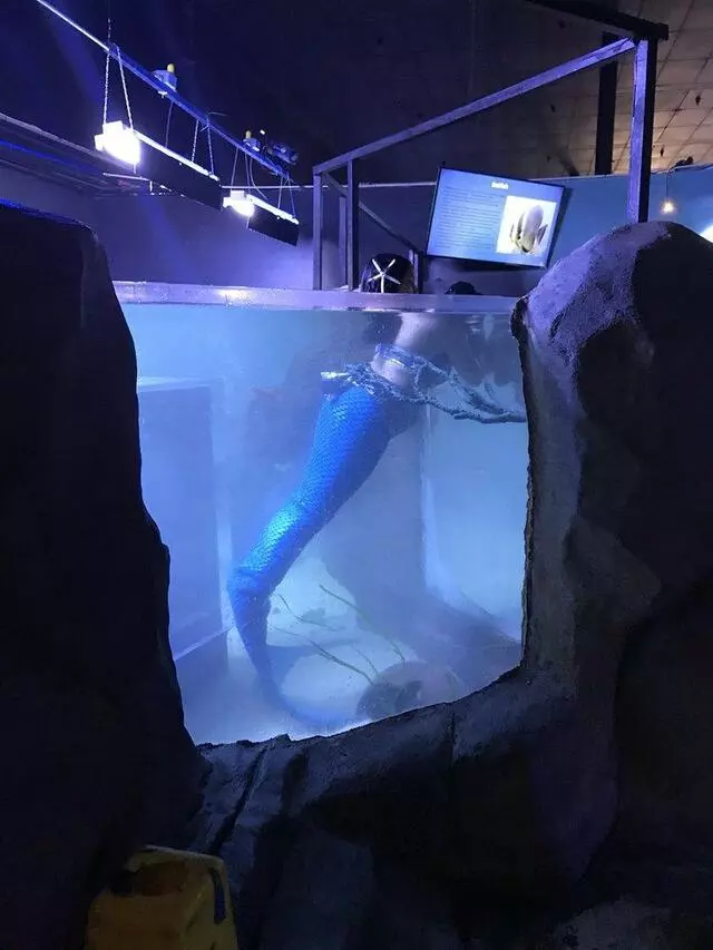Austin Aquarium