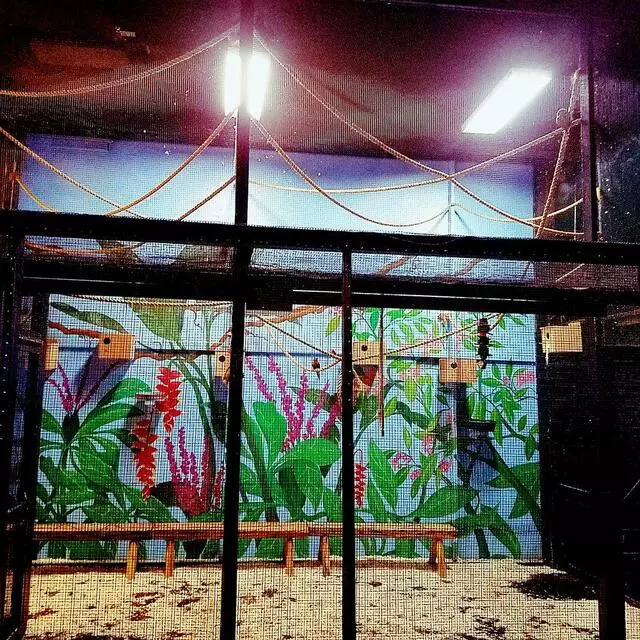Austin Aquarium