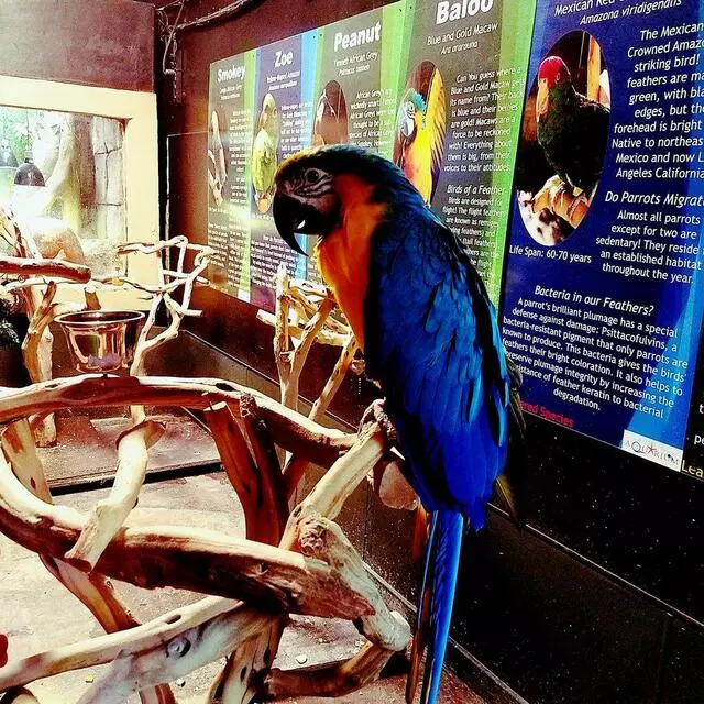 Austin Aquarium