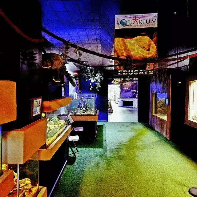 Austin Aquarium