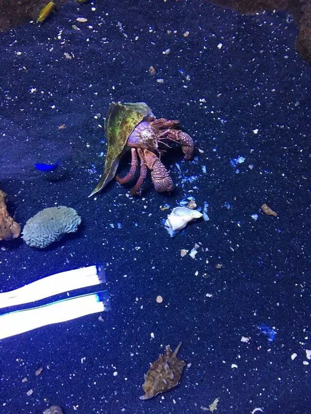 Austin Aquarium