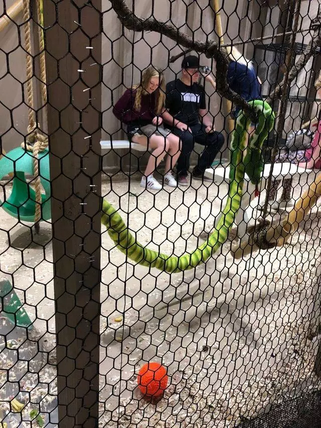 Austin Aquarium