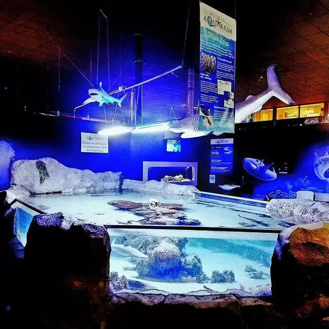 Austin Aquarium