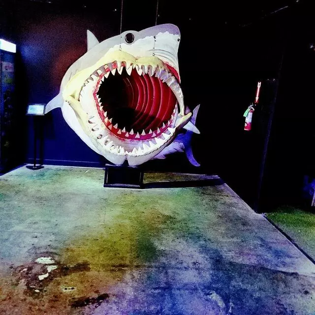 Austin Aquarium