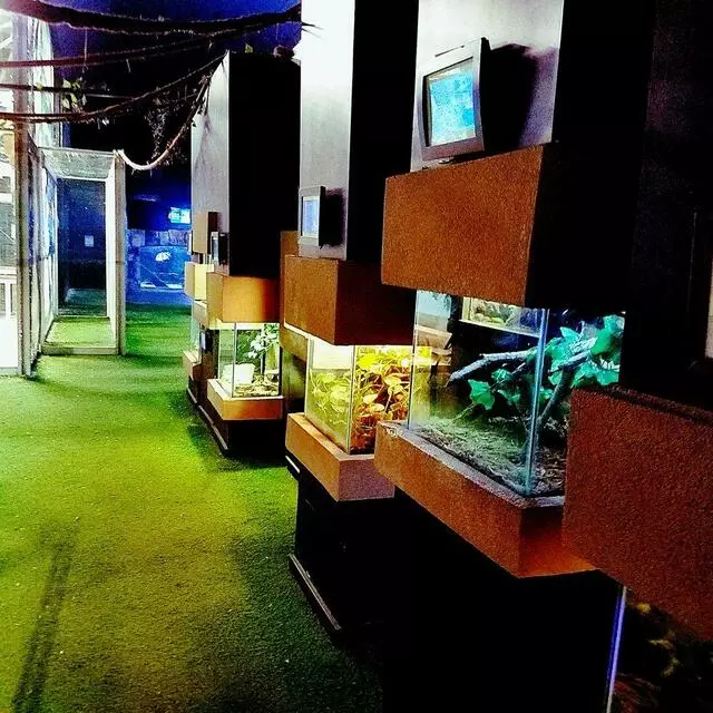 Austin Aquarium