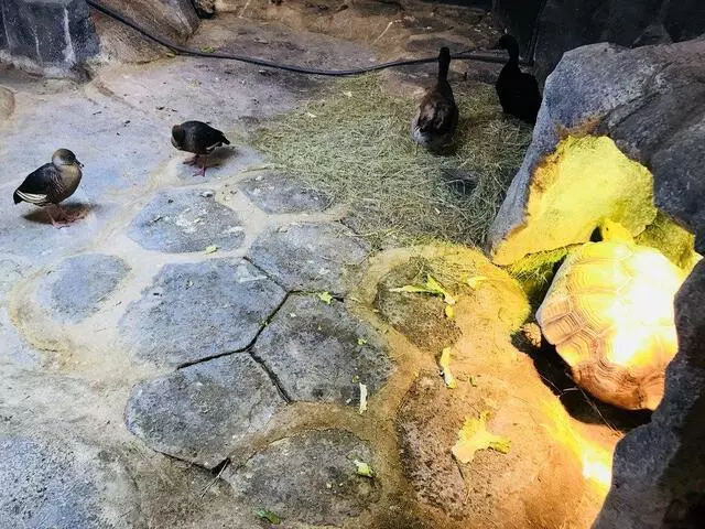 Austin Aquarium