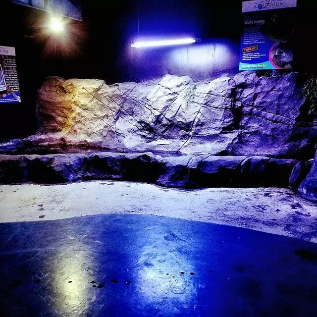Austin Aquarium