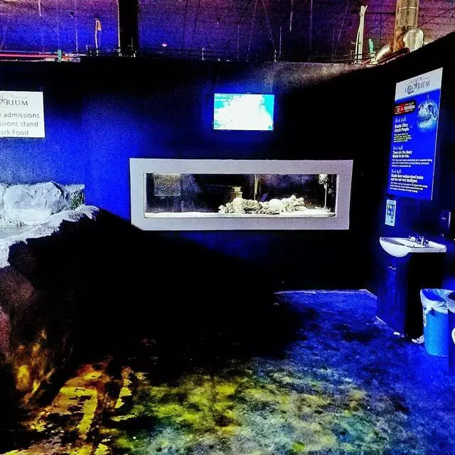Austin Aquarium