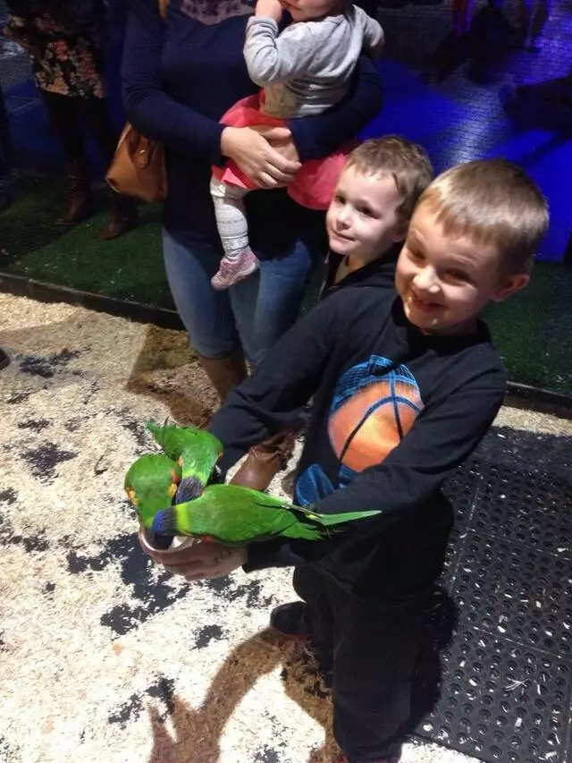 Austin Aquarium